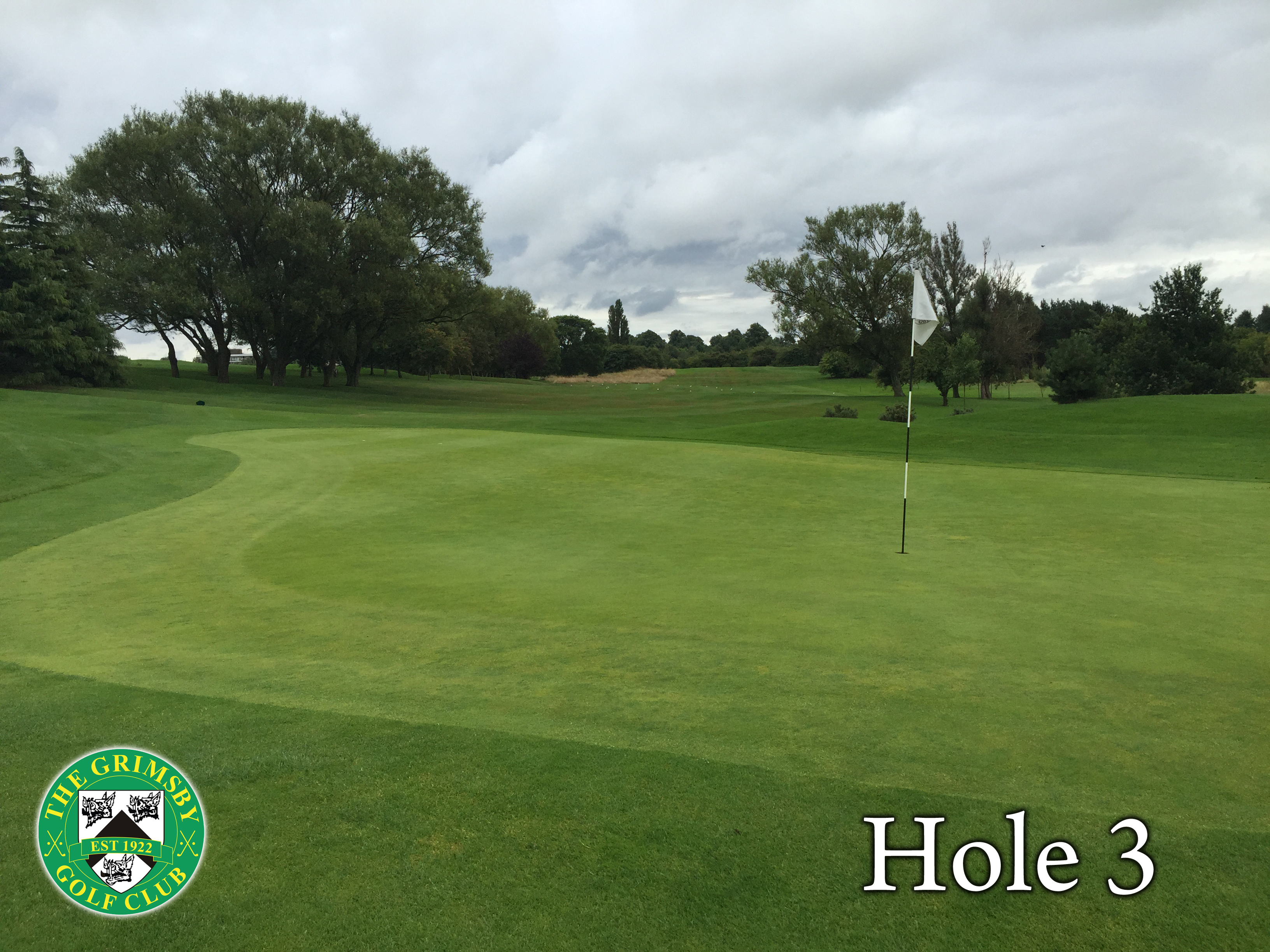 GRIMSBY GOLF CLUB LTD