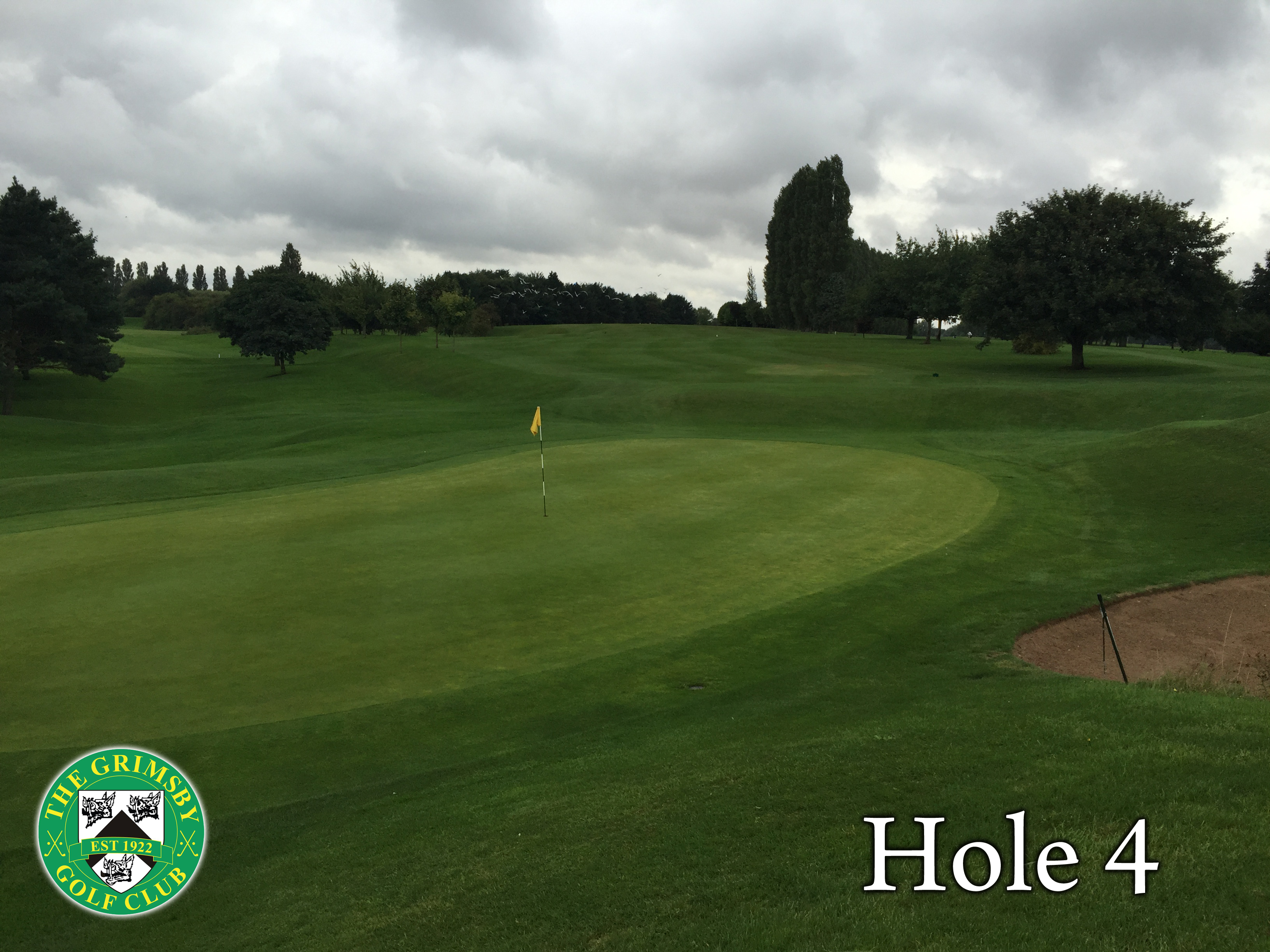 GRIMSBY GOLF CLUB LTD